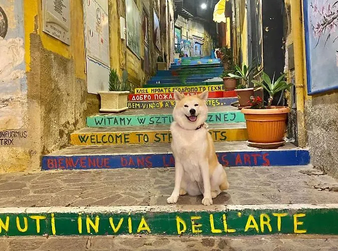 Alojamento de Acomodação e Pequeno-almoço Baciato Dal Sole Agrigento